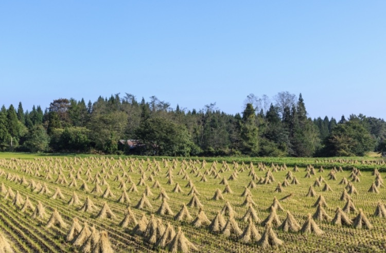 勤労感謝の日は？