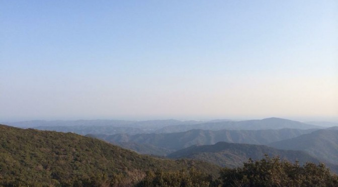 img_1843.jpg