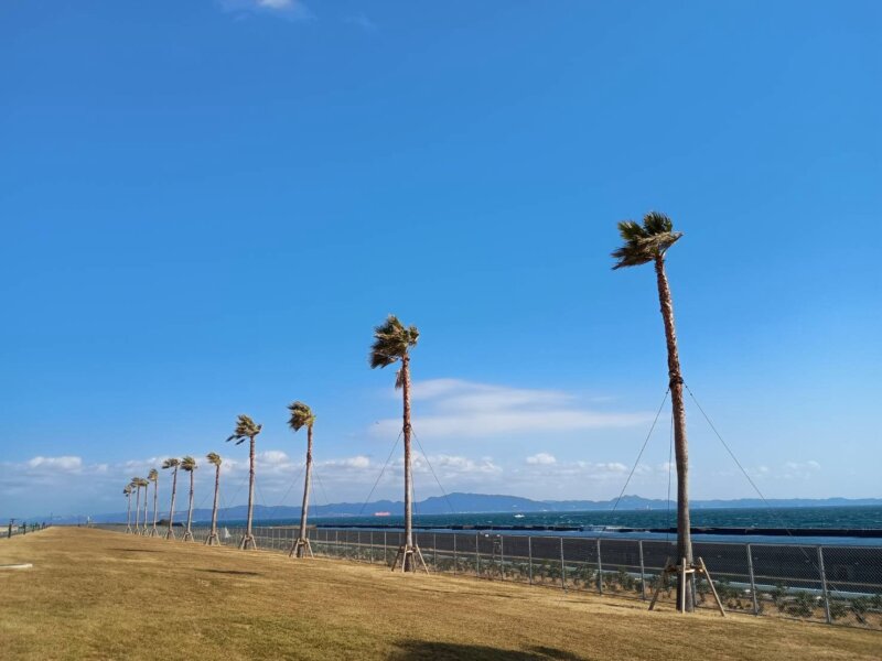 「はい」と言いながら?