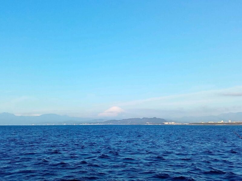 土曜日の元気を？