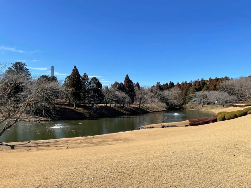 暖かいですね？