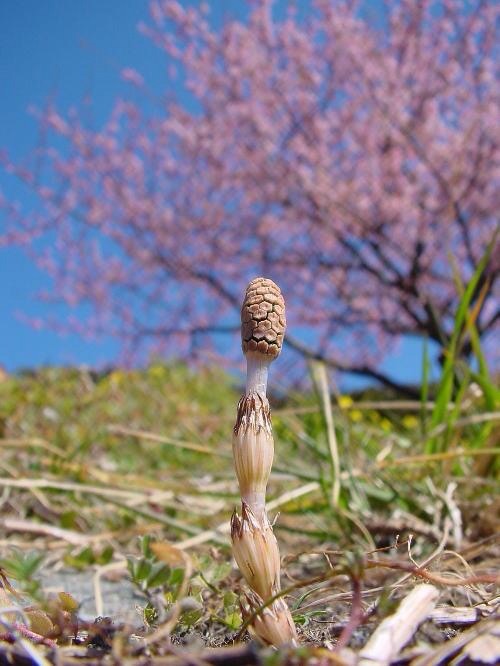 続けられるように？