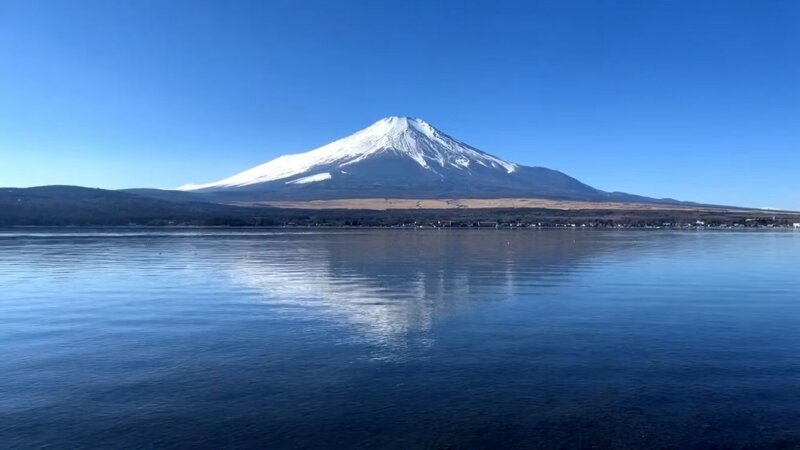 ベネズエラ戦は？