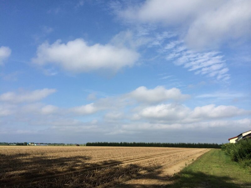 サムライジャパンは？