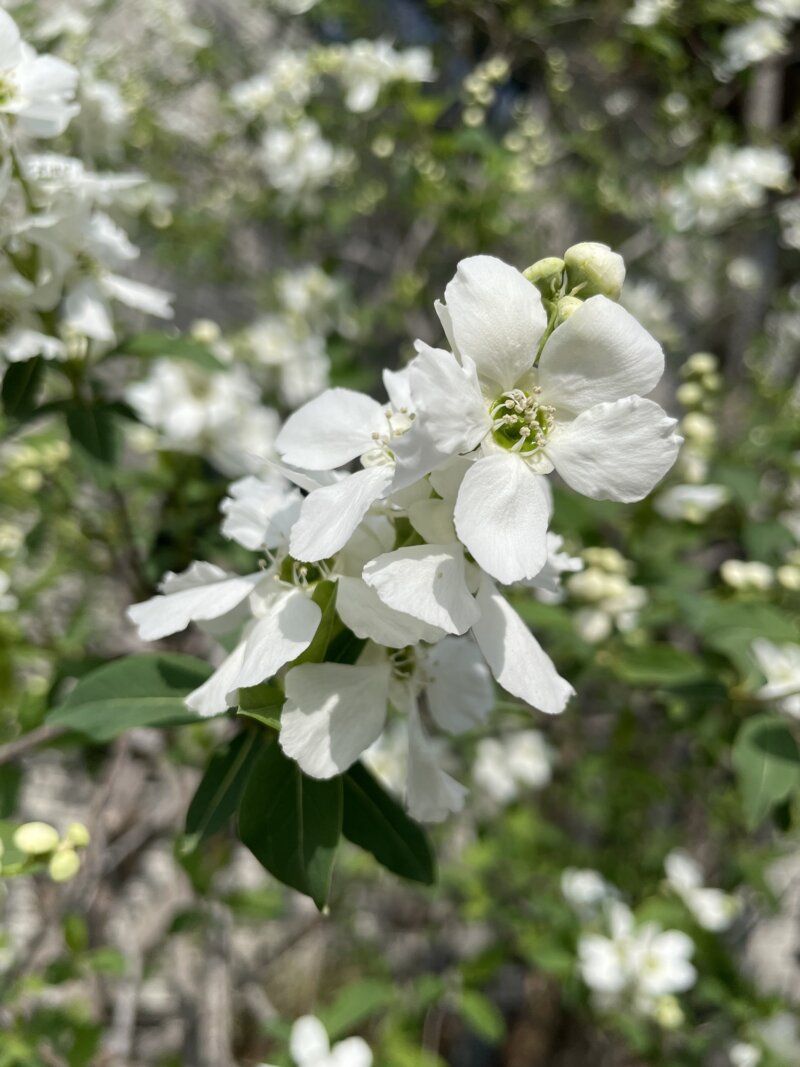 いつもよりも？