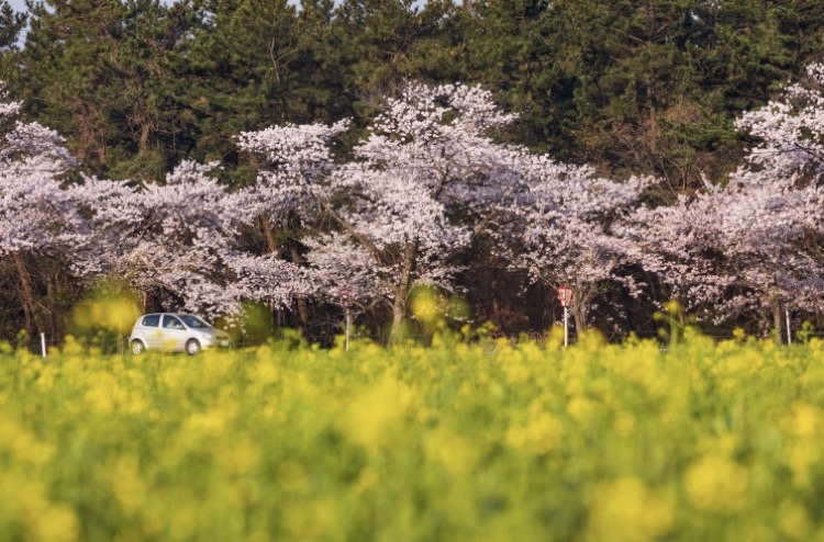 街の風景から？