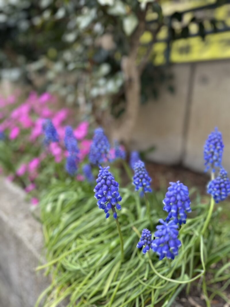 一緒に始めると？