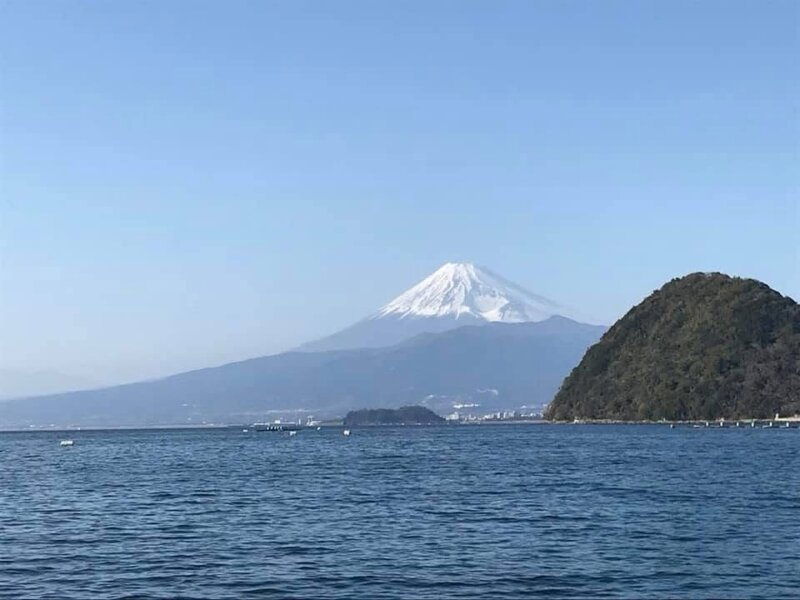 生きているから？