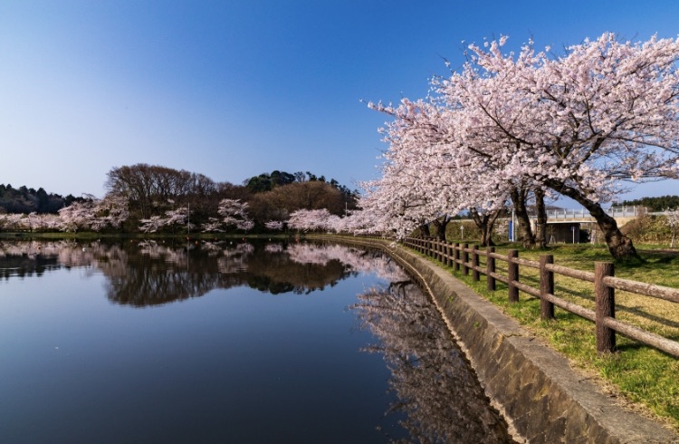 BASEGATE横浜関内？