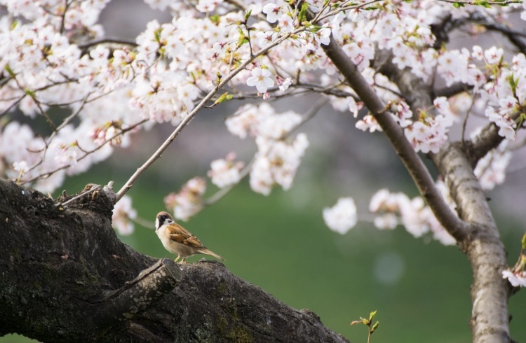 始まりますね？