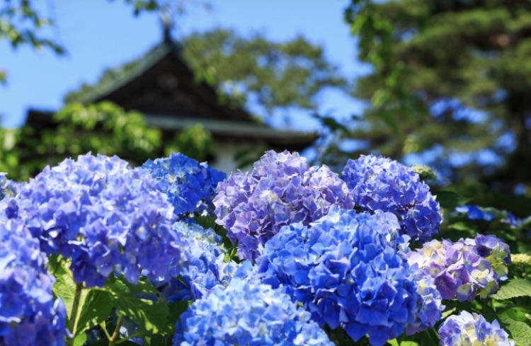 五月晴れ？