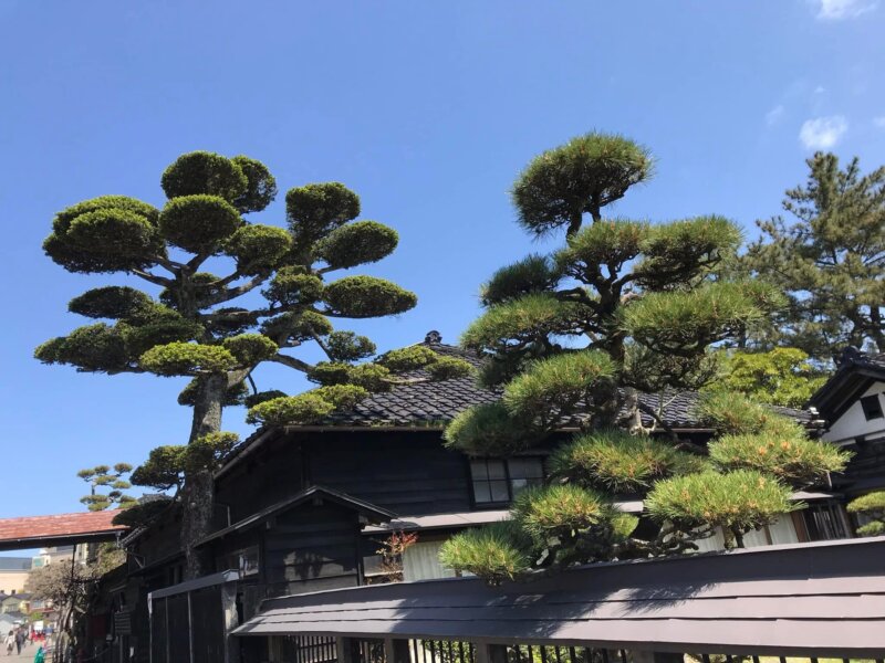 朝は？