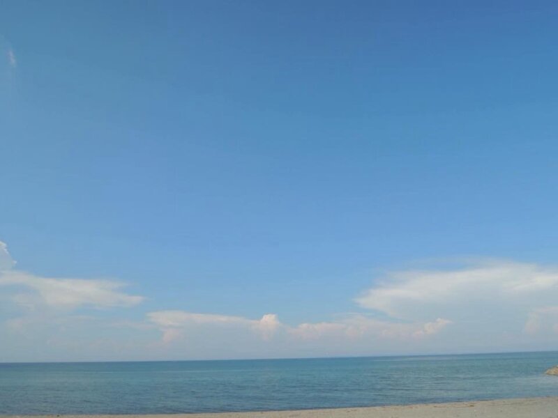 夏に？