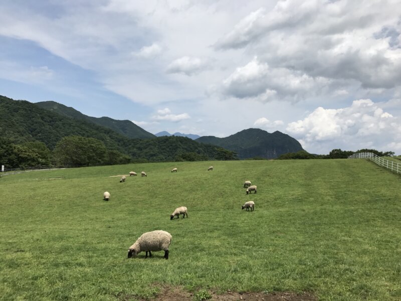 ほどよく？
