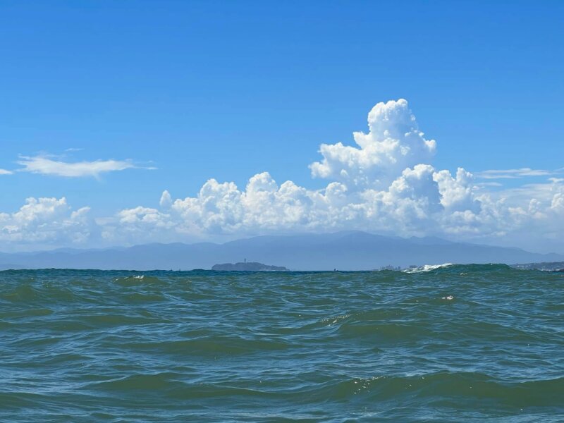 おとなの夏？