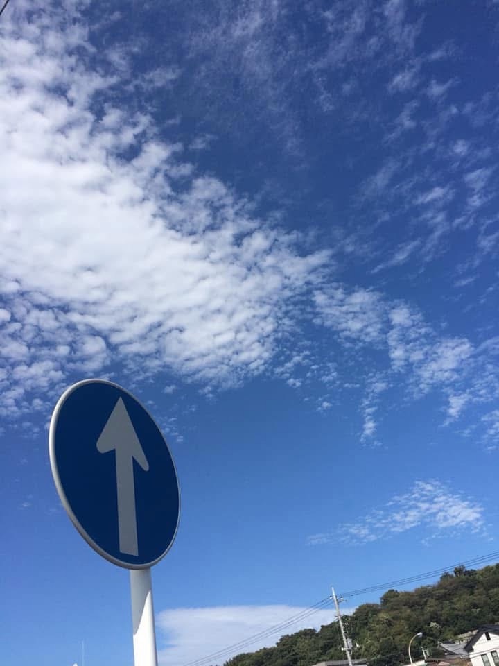 変形性膝関節症におすすめしたいのが？